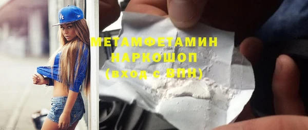 крисы Бородино