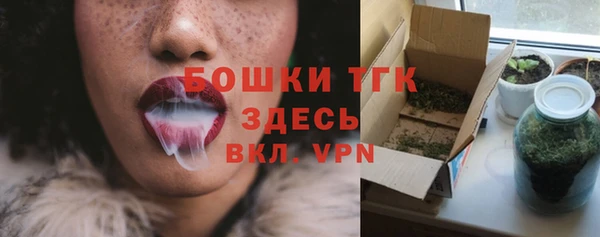 крисы Бородино