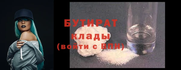 крисы Бородино