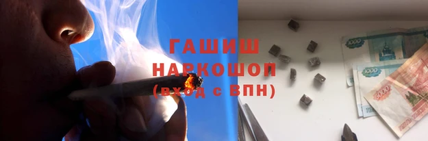 крисы Бородино