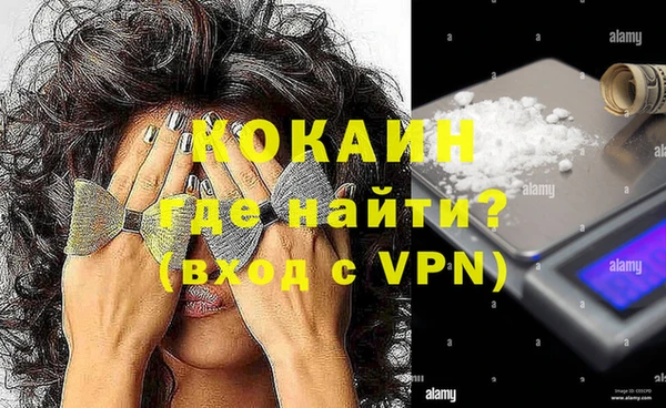 крисы Бородино