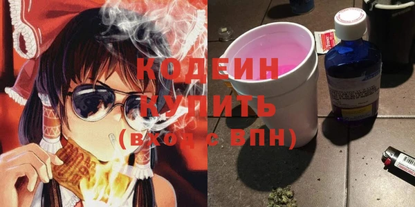 крисы Бородино