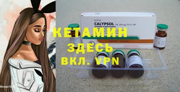 крисы Бородино