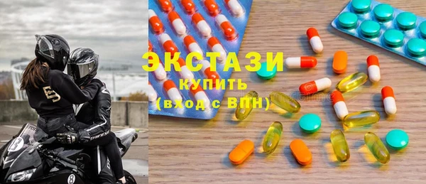 крисы Бородино
