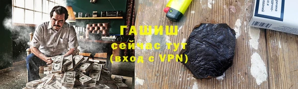 крисы Бородино