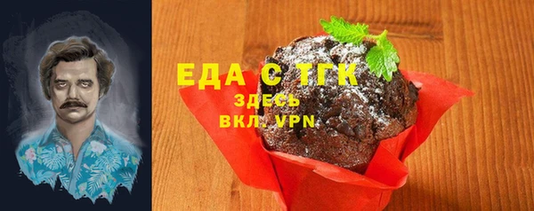 крисы Бородино