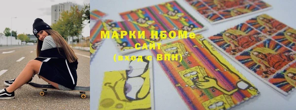 крисы Бородино