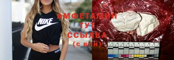 крисы Бородино